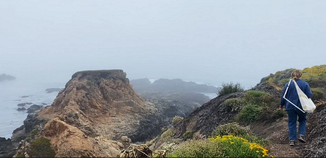 A student walks along a trail on a misty day overlooking the bay